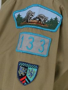 Troop 133 Shirt.jpg